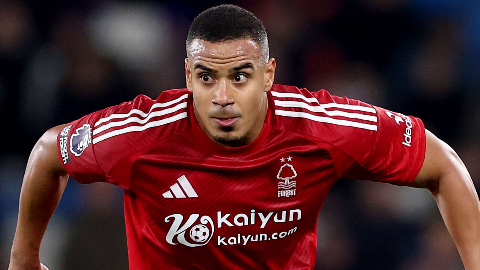 但我们期待 但我们期待